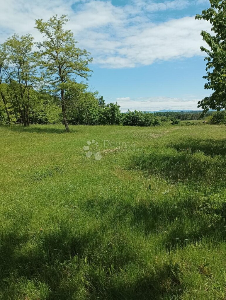 Image 6242166 - 2