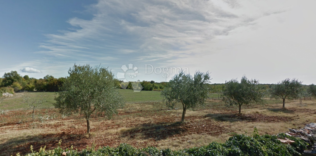 Image 6242185 - 1