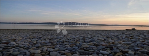 Thumbnail 6242186 - 4