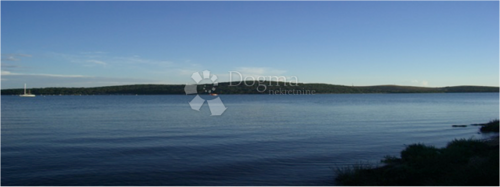 Thumbnail 6242186 - 2