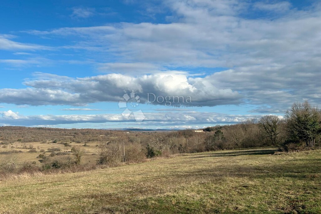 Image 6242187 - 11