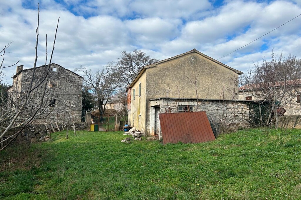 Image 6242187 - 6