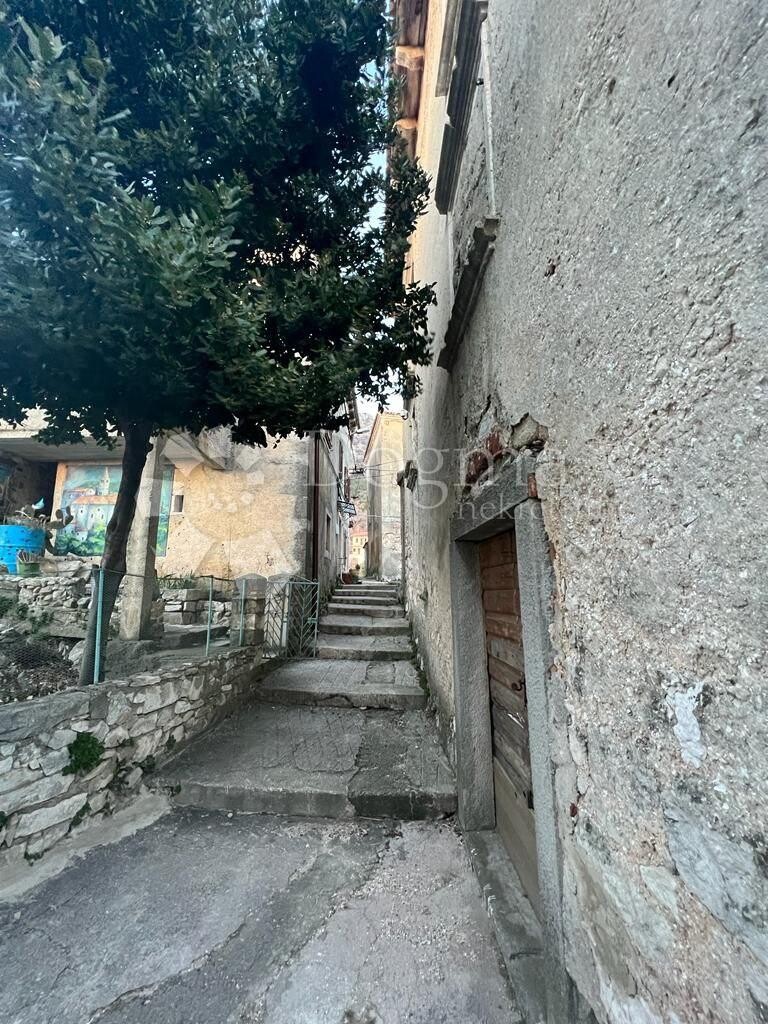 Image 6242189 - 14