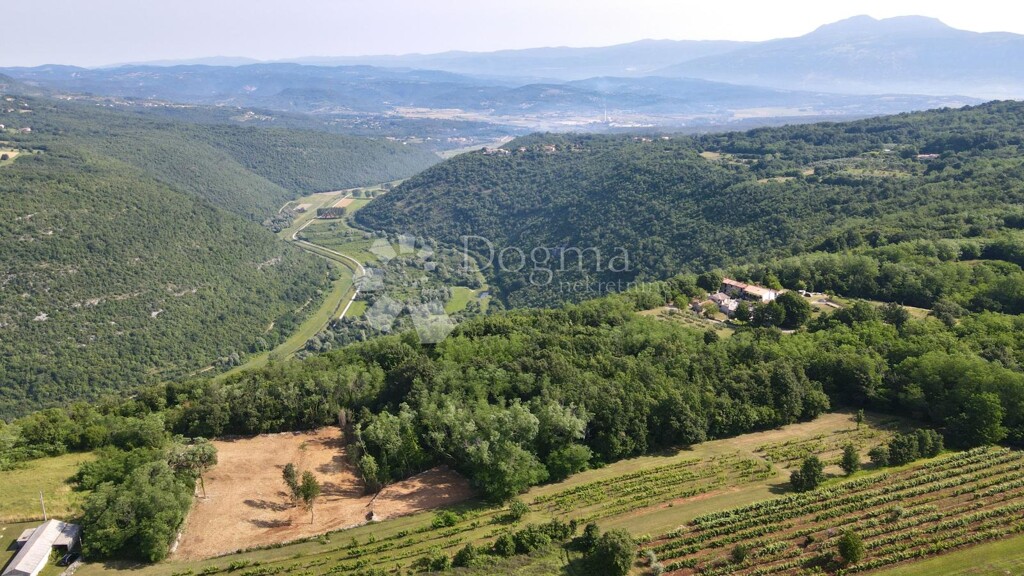 Image 6242190 - 6