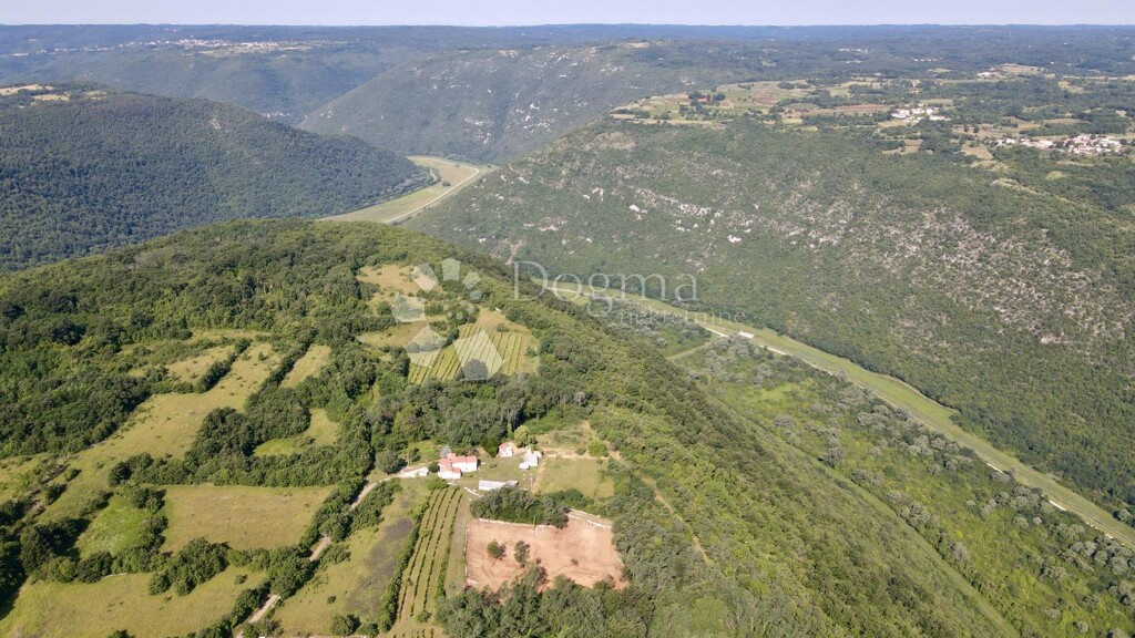 Image 6242190 - 8