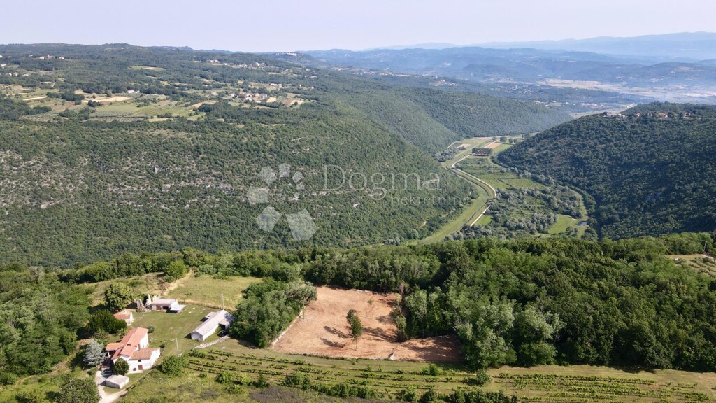 Image 6242190 - 1