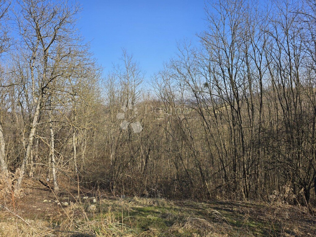 Image 6242192 - 5