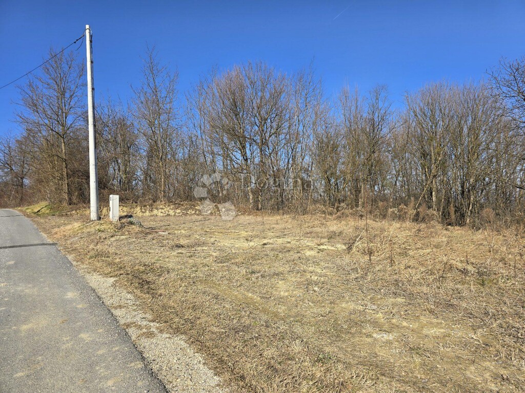 Image 6242192 - 6