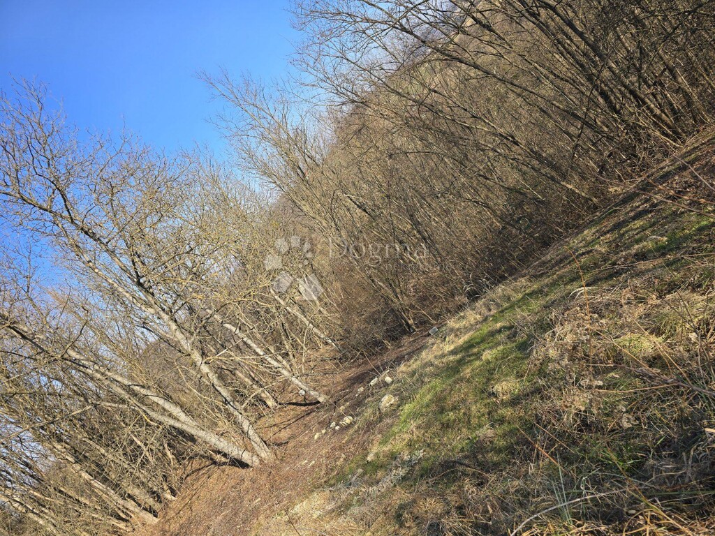 Image 6242192 - 14