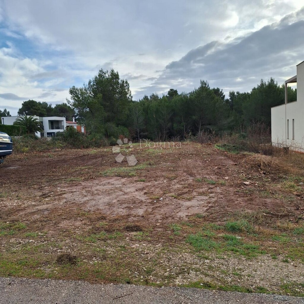 Image 6242194 - 2