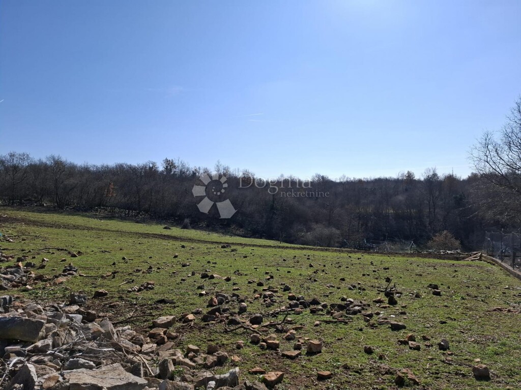 Image 6242218 - 2