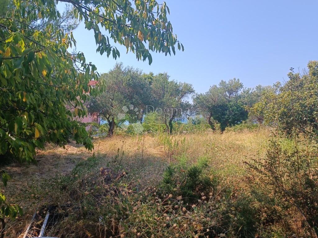 Image 6242238 - 6
