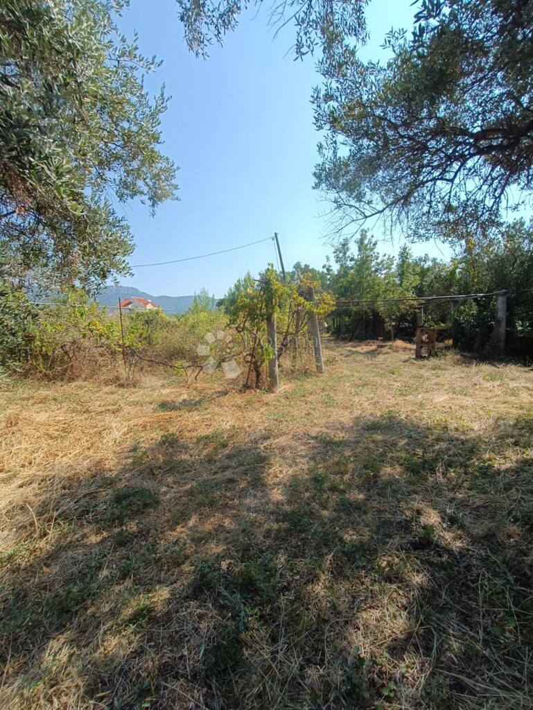 Image 6242238 - 7