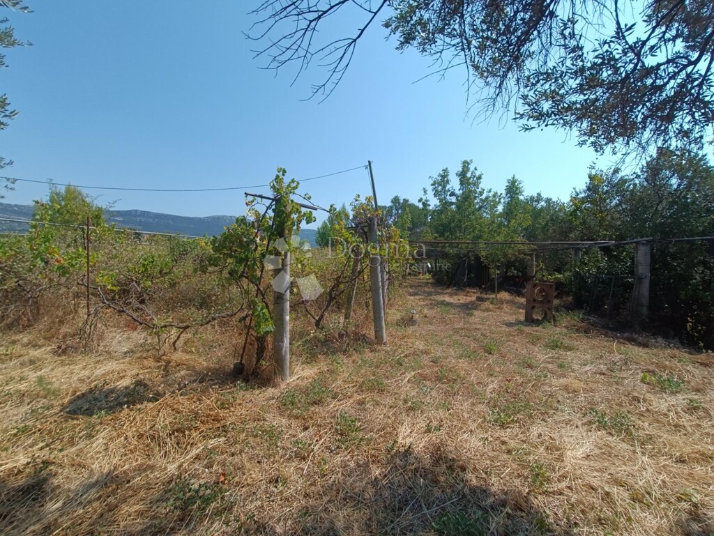 Image 6242238 - 5