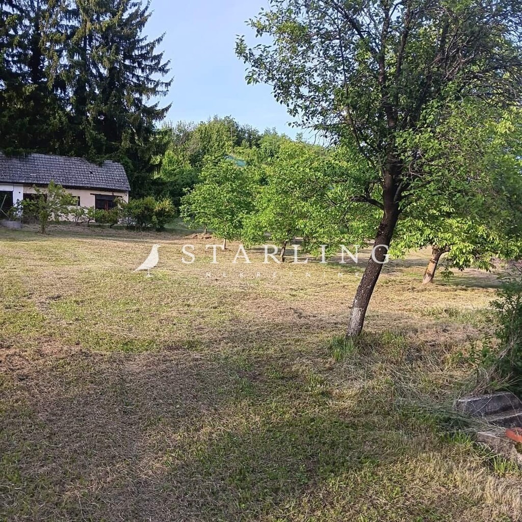 Image 6242269 - 4