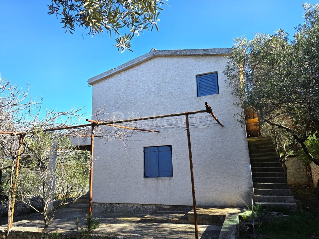 Image 6242303 - 5