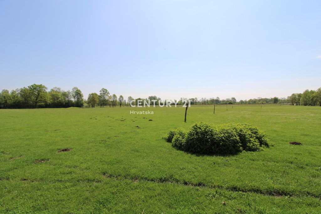 Image 6242304 - 6