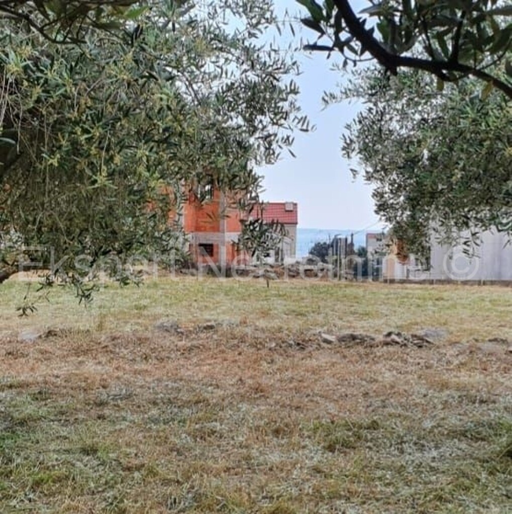 Image 6242305 - 2