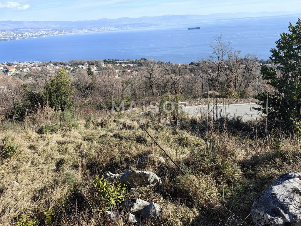 Image 6242330 - 5