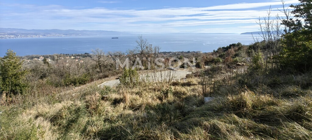 Image 6242330 - 8