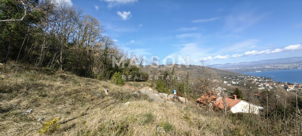 Image 6242330 - 10