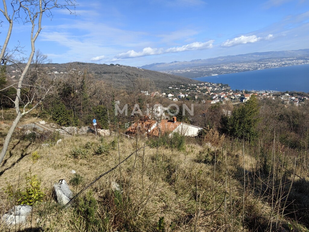 Image 6242330 - 2