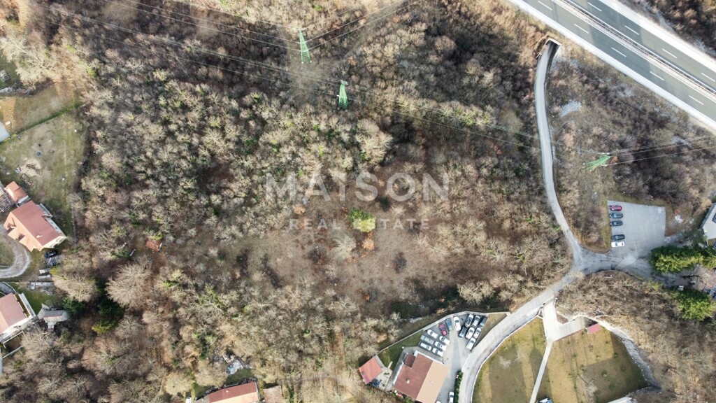 Image 6242341 - 3