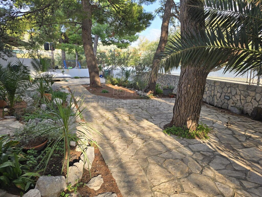 Image 6242408 - 18