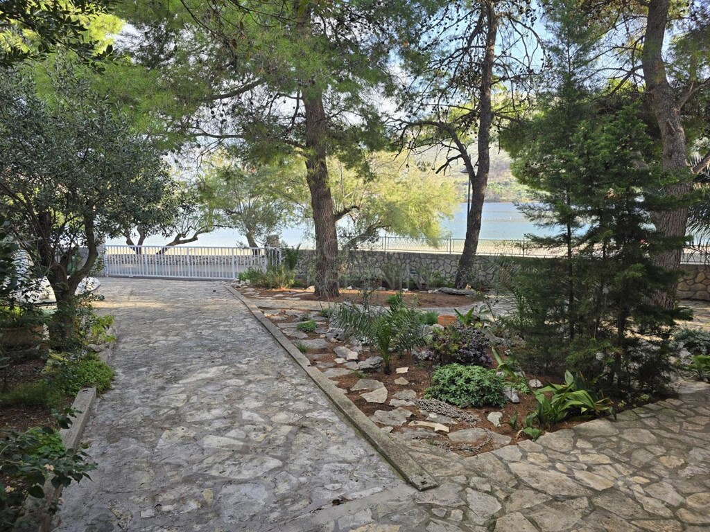 Image 6242408 - 1