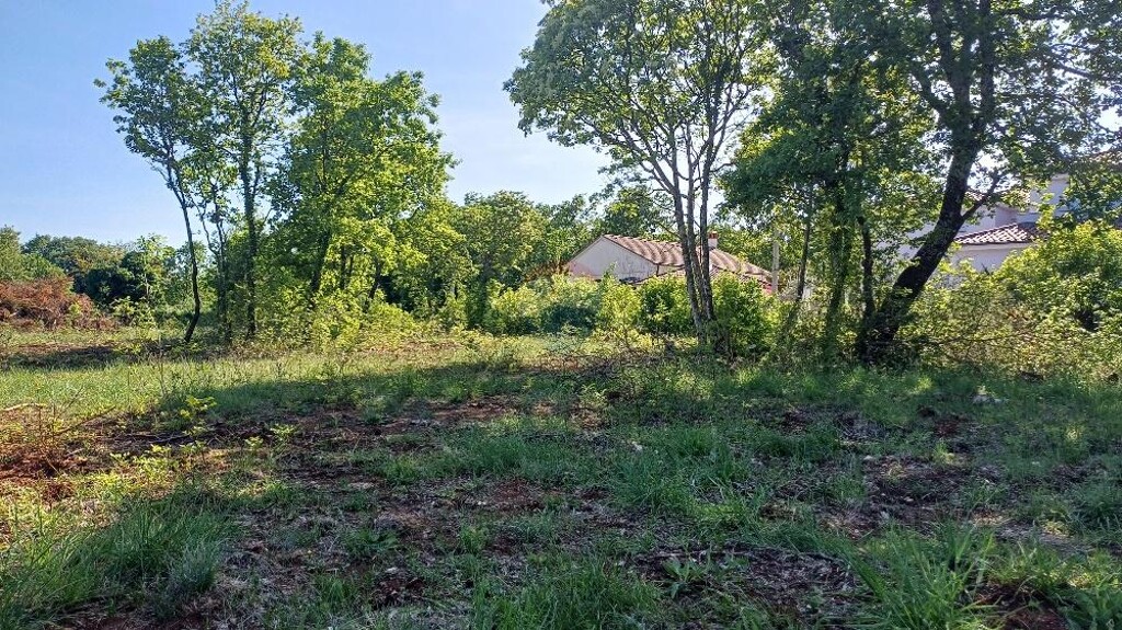 Image 6242445 - 5