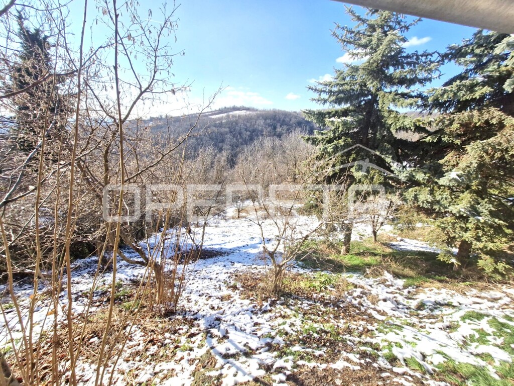 Image 6242660 - 19