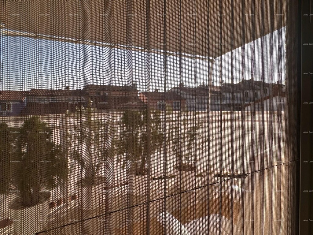 Image 6242690 - 4