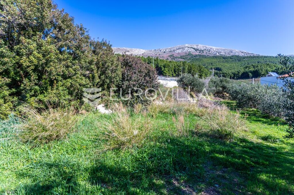 Image 6242946 - 6