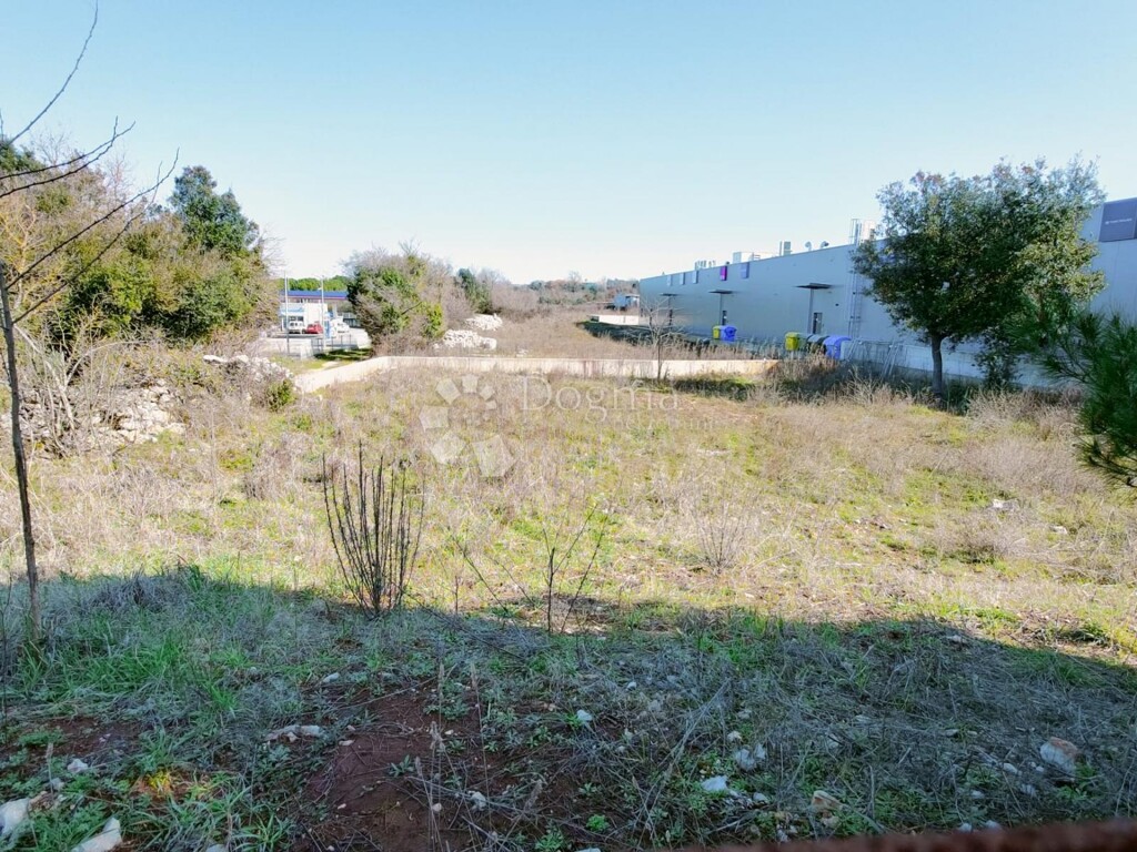 Image 6242955 - 2
