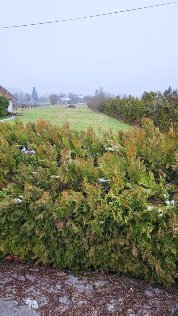 Image 6242965 - 3