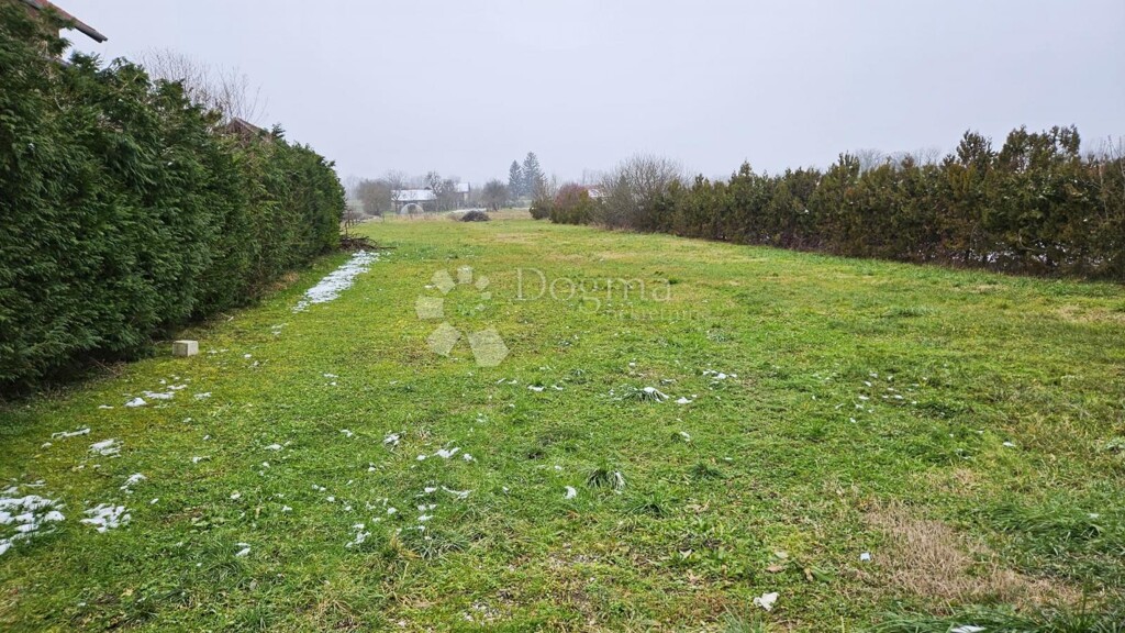 Image 6242965 - 1