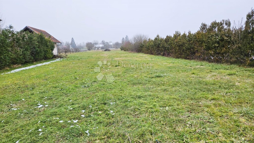 Image 6242965 - 2
