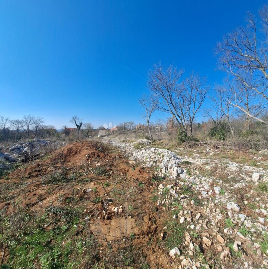 Image 6242971 - 4