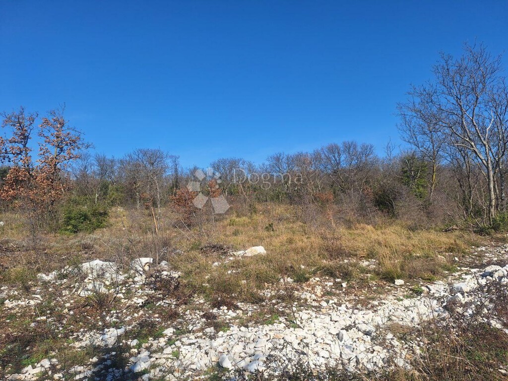 Image 6242972 - 7