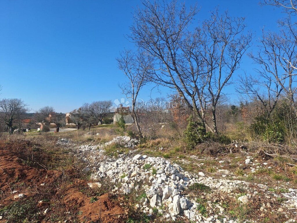 Image 6242972 - 4