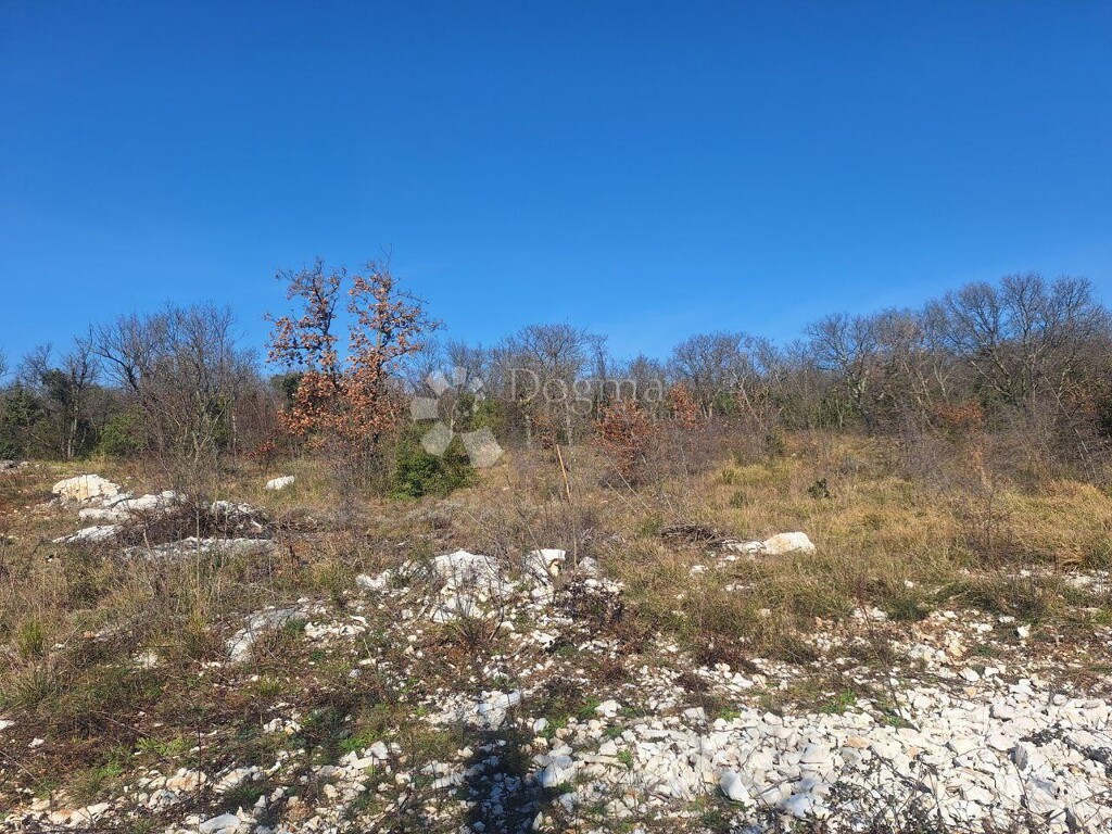 Image 6242972 - 5
