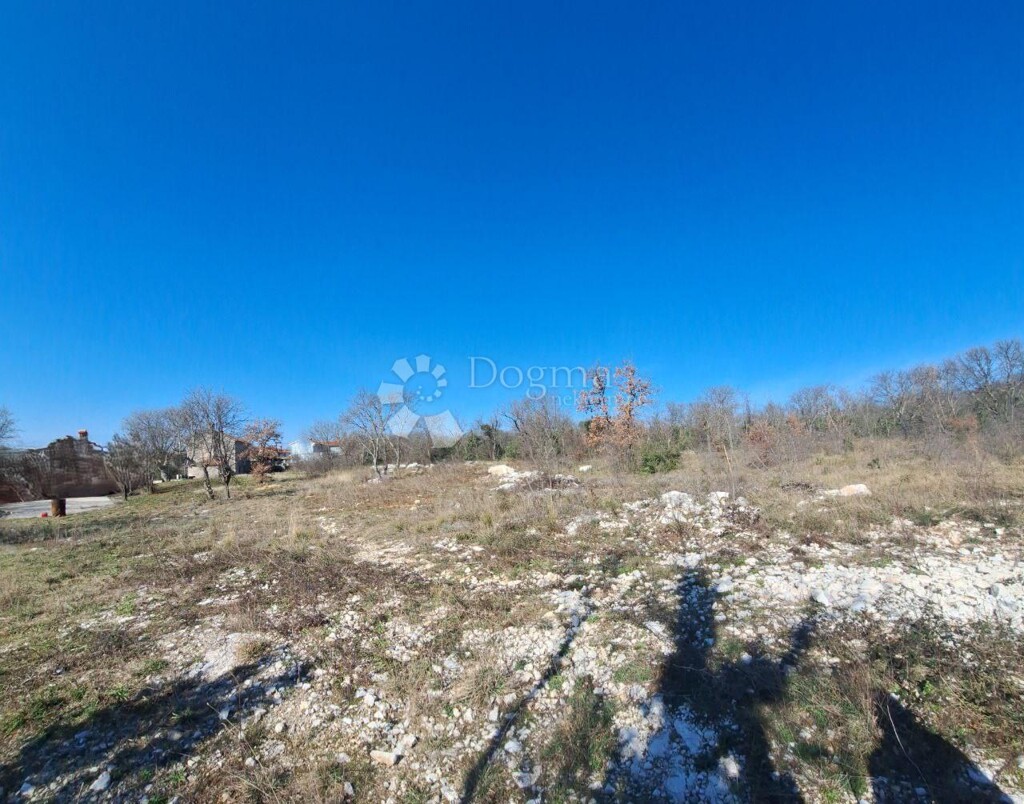 Image 6242973 - 6
