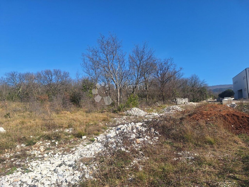 Image 6242973 - 5