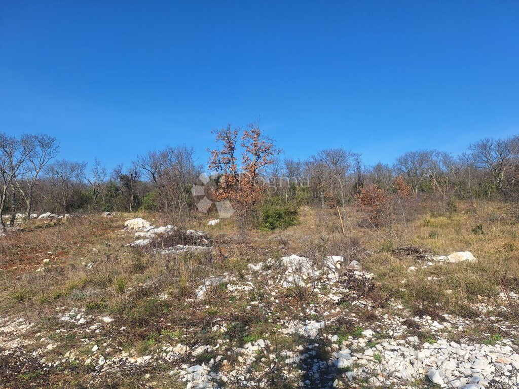 Image 6242973 - 7