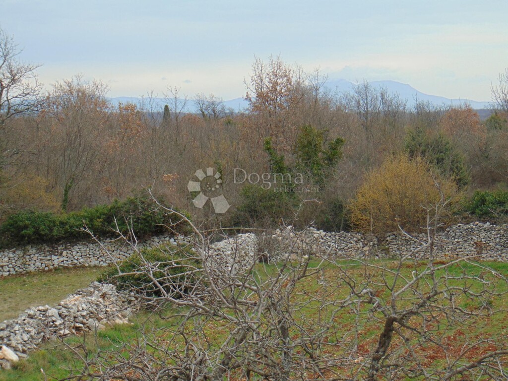 Image 6242975 - 4