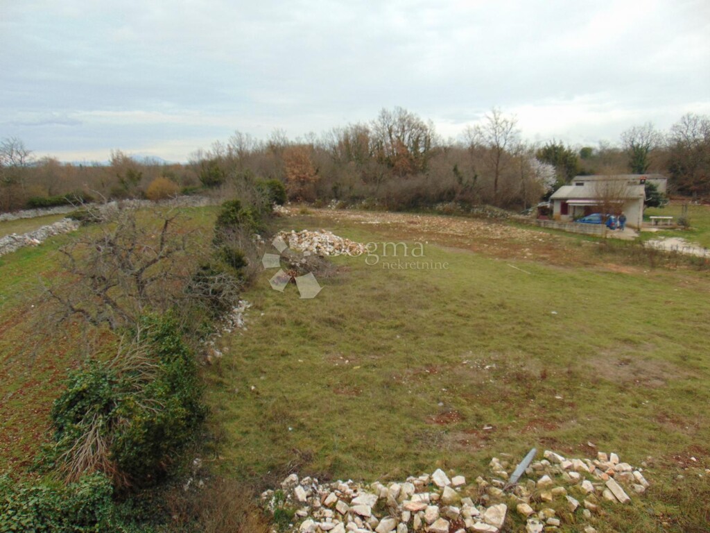 Image 6242975 - 5