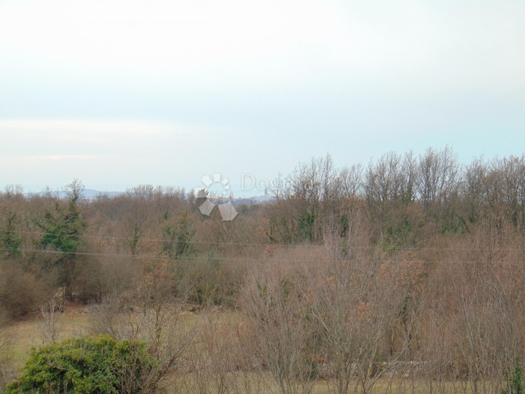 Image 6242975 - 7