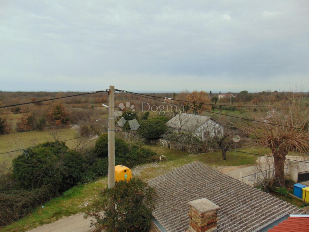 Image 6242975 - 6