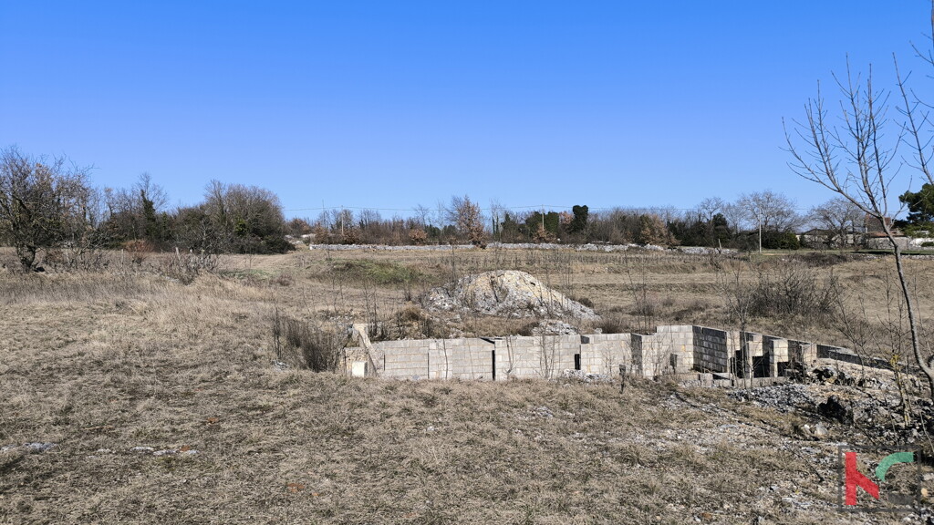 Image 6242977 - 4