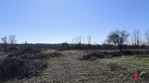 Thumbnail 6242977 - 2